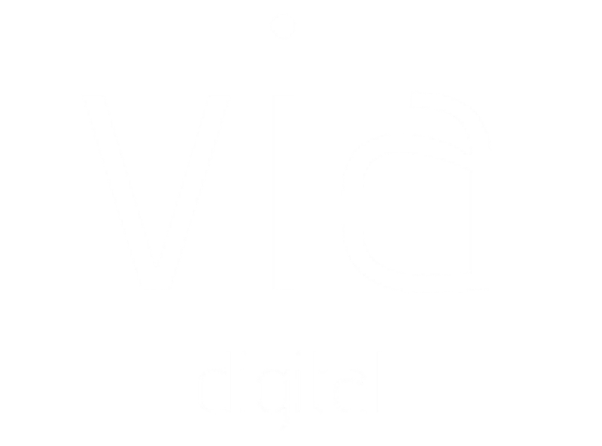 via marketing digital logo (2) (1)